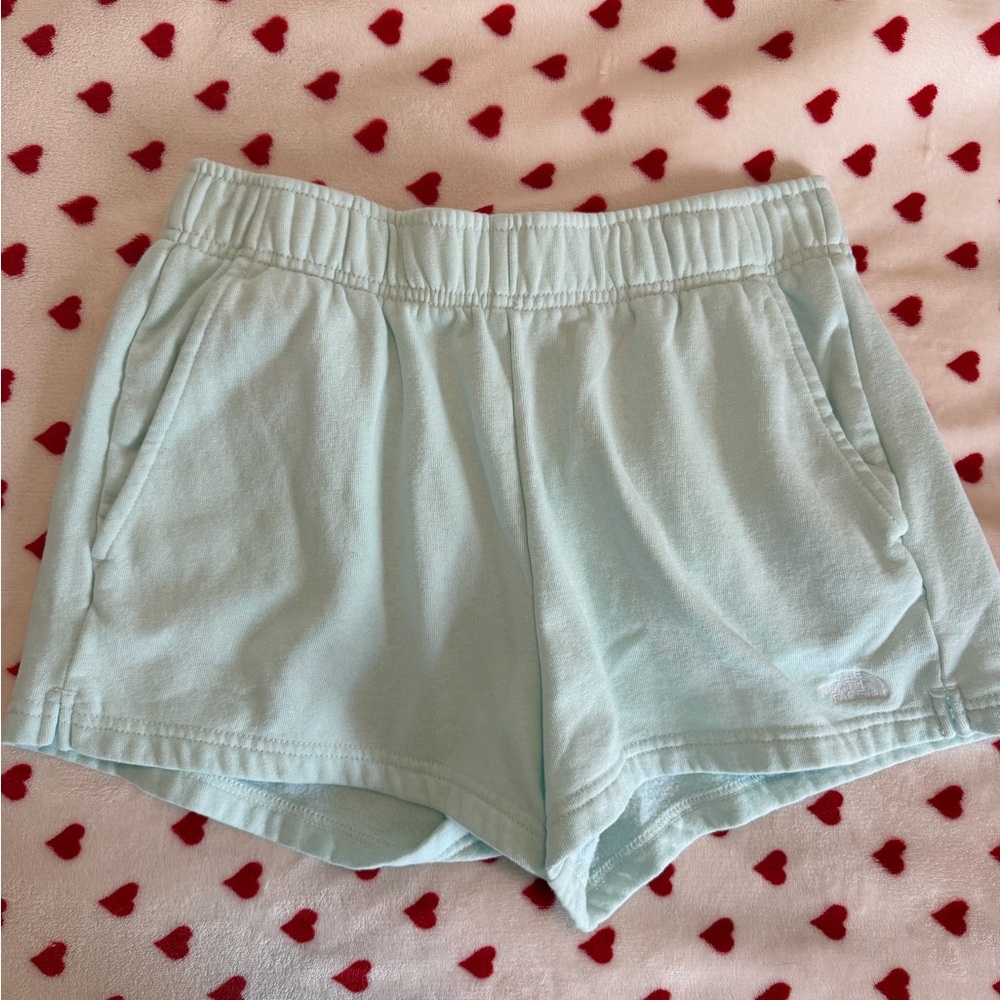 The North Face Women's Turquoise Short